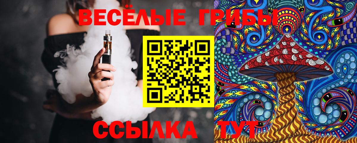 Ставрополь  Галлюциногенные грибы GOLDEN TEACHER  Псилоцибиновые грибы Psilocybe  Вход с VPN 